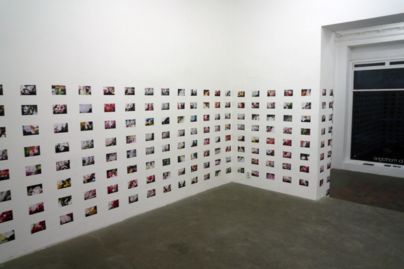 Melissa Fisher, Fifty Fifty, installation view at SlaM