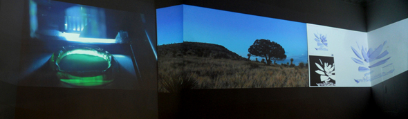Solstice- Video Installation, 2012