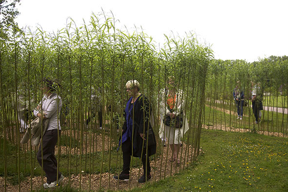 Srinivasa Prasad - "in-and-out" (2012), birch trees; image courtesy Creative India Foundation and Wanas Konst, photo courtesty Wanås Konst