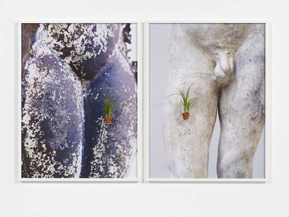 Ernesto Neto - "btw us" (2013), 2 photographs, 2 ceramic pots with plants (Kalanchoe tomentosa and Aloe variegata), diptych: 146 x 110 cm each; courtesy of Galerie Max Hetzler