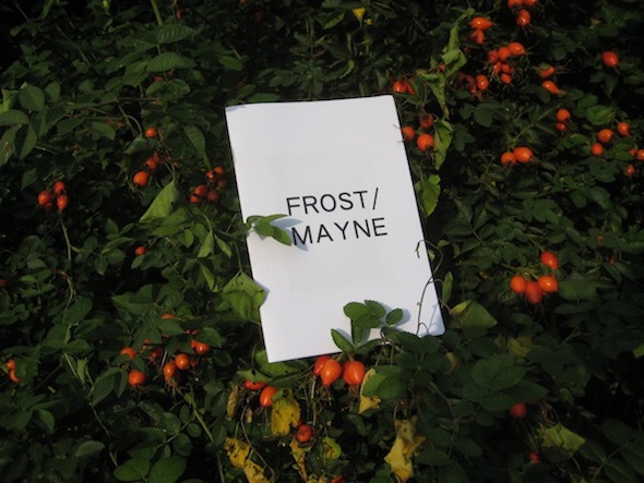 Berlin Art Link Discover Frost Mayne zine