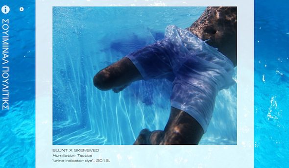 BLUNTxSKENSVED: Swimminal Poolitics, online exhibition screenshot from swimminalpoolitics.eu // Courtesy of the artists