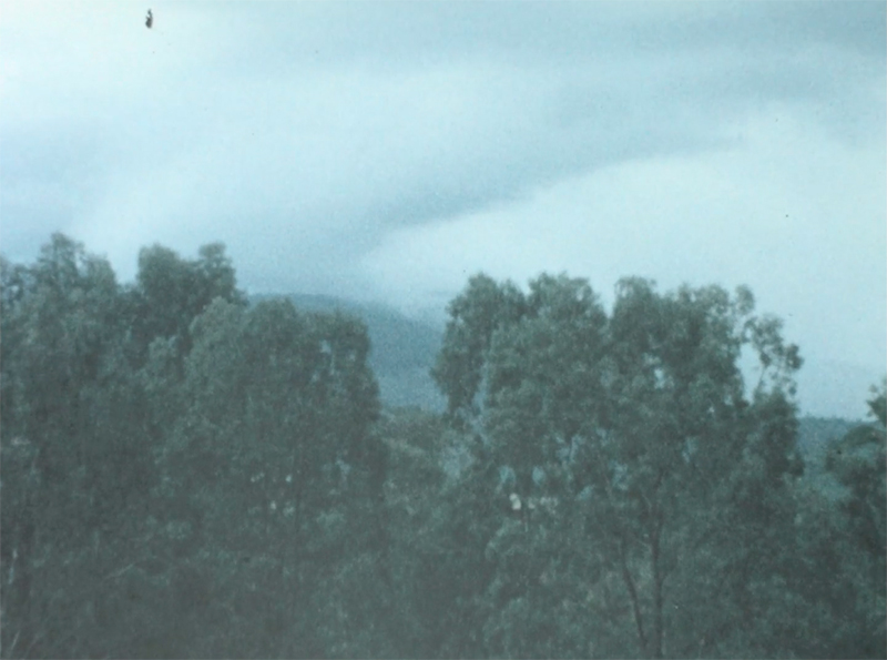 Berlin Art Link interview with Sandra Heremans. A film still of a cloudy landscape from archival footage.