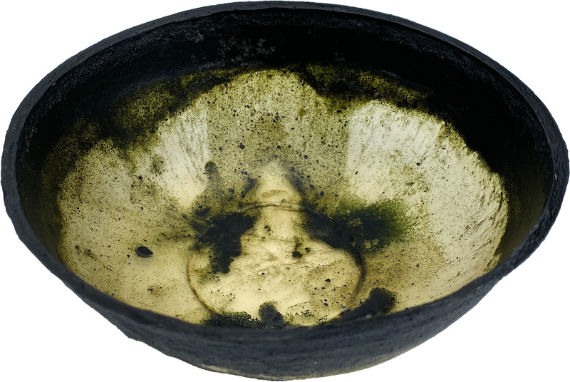 A bowl made of algae-based bioplastic