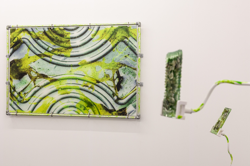 a framed photograph of a sickly green substance on an abstract, ridged metal surface. another artwork in the same color juts out from the wall next to the photograph