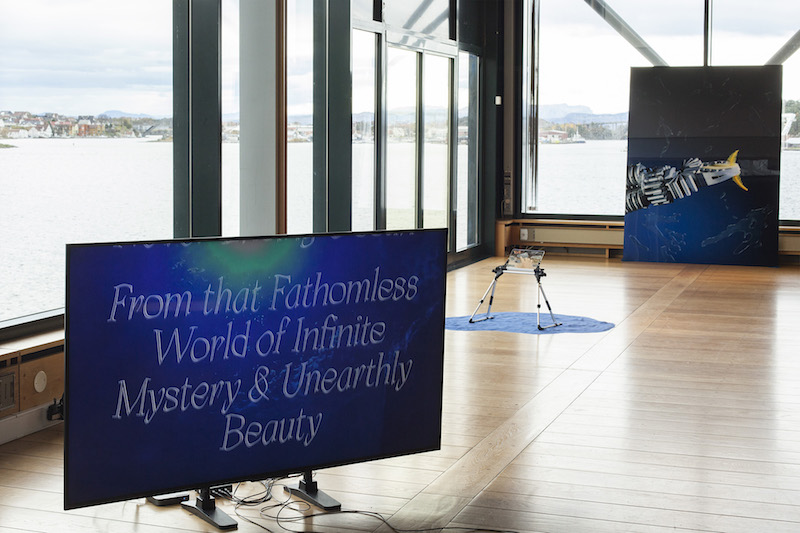 installation of a video in a gallery space, in front of a wall of bright windows, the video screen reads: from that fathomless world of infinite mystery and unearthly beauty