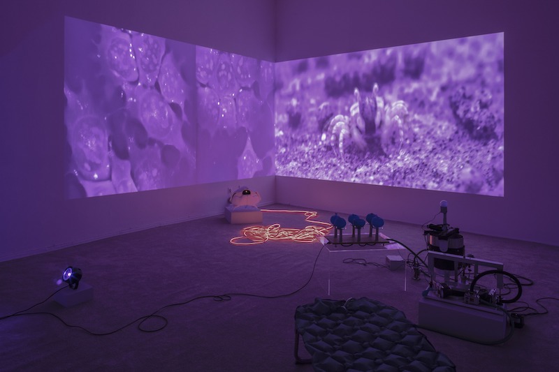 A purple hued room with a projection on the wall surrounded by sculptural components.