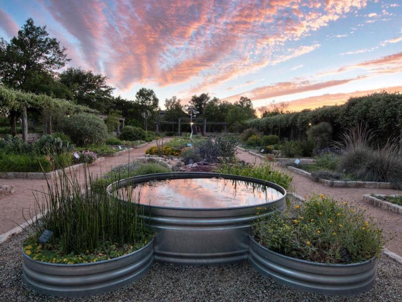 A sunset above a garden with a pond.