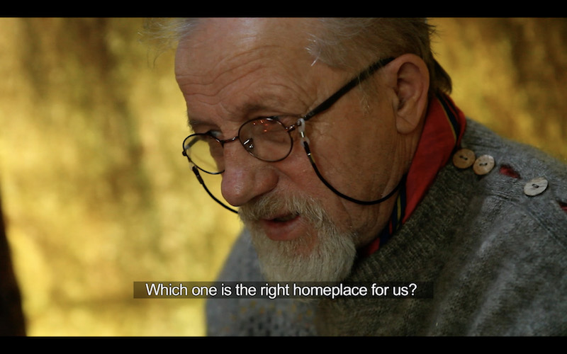 a video still close up of a man with a beard and glasses, in front of a yellowish nature background