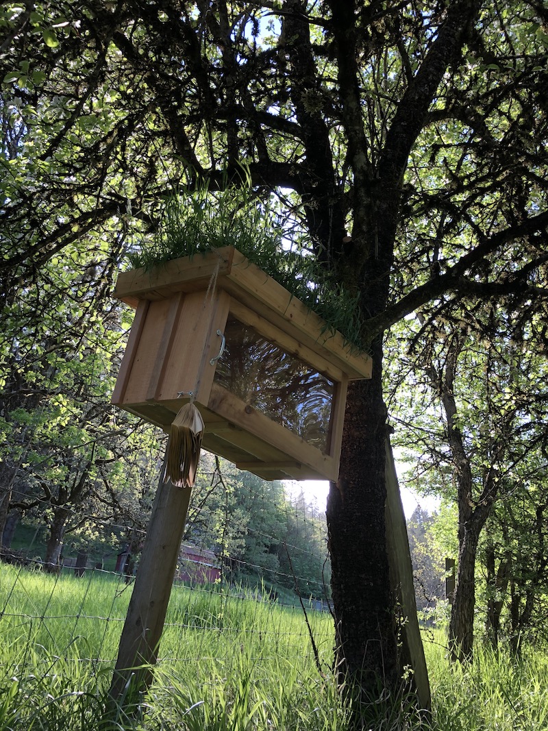 a small wooden house built on a tree branch, with books inside