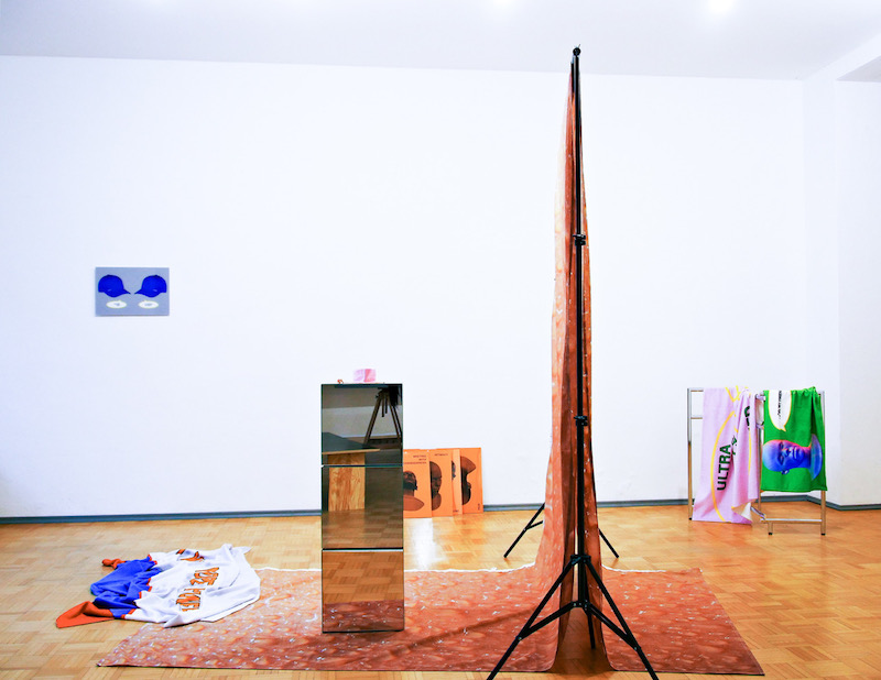 a photo of the exhibition space with several plinths and hanging photographs