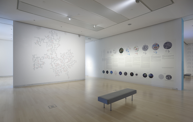 a photo of a brightly lit exhibition space with white walls and a gray bench in the center, on the walls are several colourful data visualizations by the barabasi lab