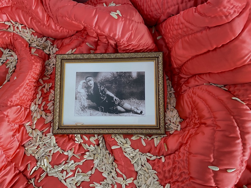 a red blanket is covered in sunflower seeds, and atop it sits a framed black and white photograph of a reclining woman, dressed in a flapper-style outfit