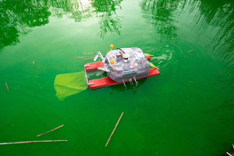 a bright green pond with a robotic crab floating in it