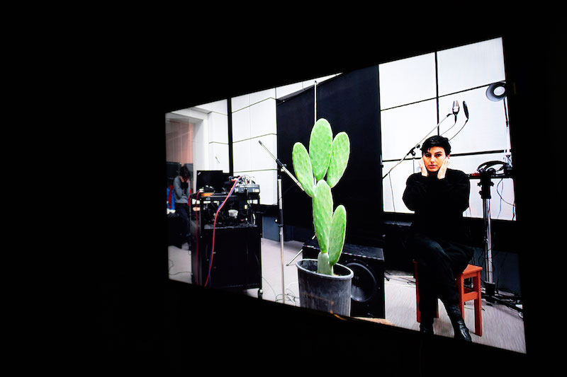 a photo of a projected video of a person recording a conversation with a cactus