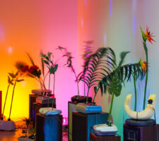 image of art installation with palm trees, sculptures and colourful light