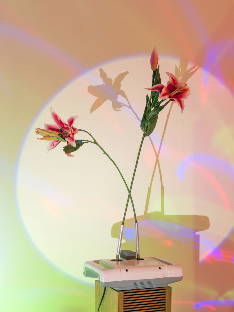 Photo of plastic plants attached to an electric massager, against a background of pink orange and green light