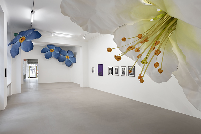 Giant fake flowers pinned to a gallery ceiling and framed photos on the walls