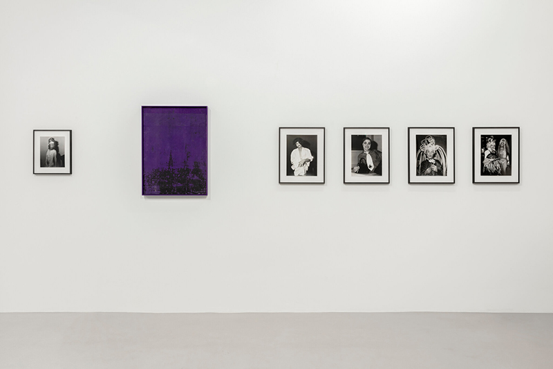Framed photographs and one larger purple picture hanging on a wall