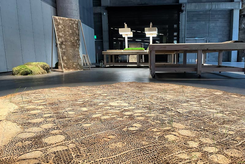 An installation shot from the Sydney Biennale in 2022 featuring an expansive floor work made of dried roots