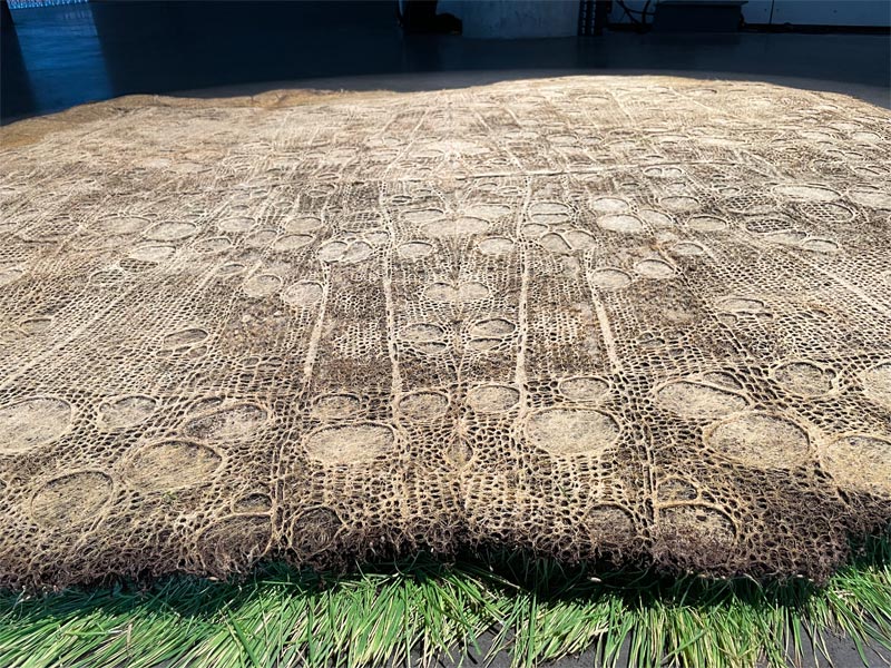 A close-up of Diana Scherer's floor work made of dried roots.