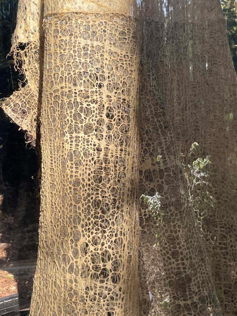 A close-up from a 2.5 meter tall dress grown from plant roots and displayed on a mannequin in a forest