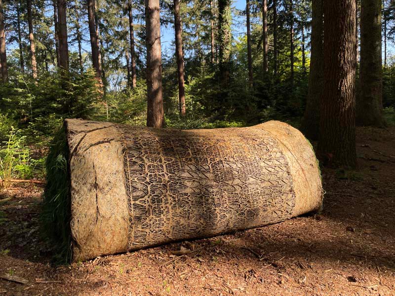 A large sculpture made out of dried roots placed outdoors in a forest