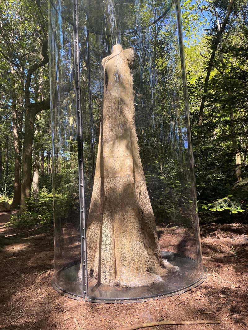 A 2.5 meter tall dress grown from plant roots and displayed on a mannequin in a forest