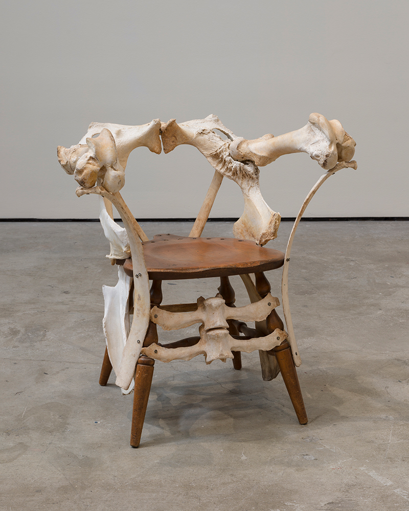 a chair made out ouf wood and cattle bones