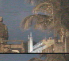 blurry film still where palm trees are visible
