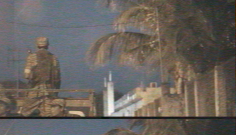blurry film still where palm trees are visible