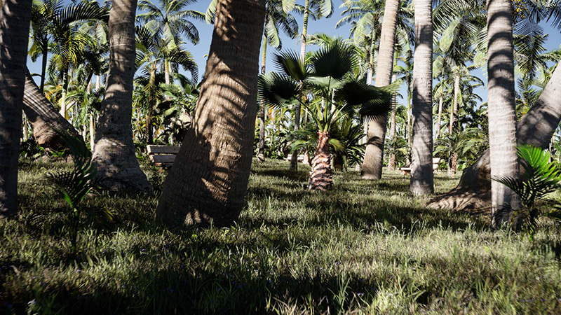 CGI renderings of palm trees