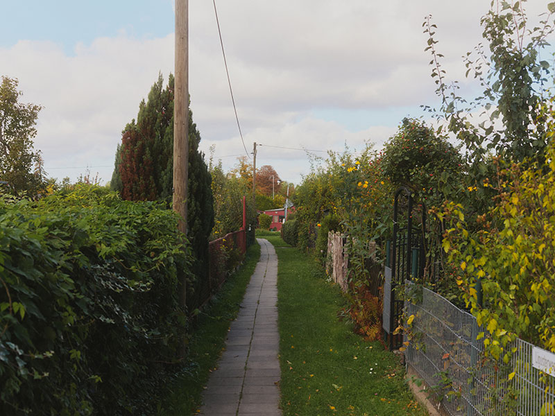 a garden path