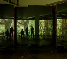 A photo of silhouettes of people standing in front of a wide screen projection of a jungle