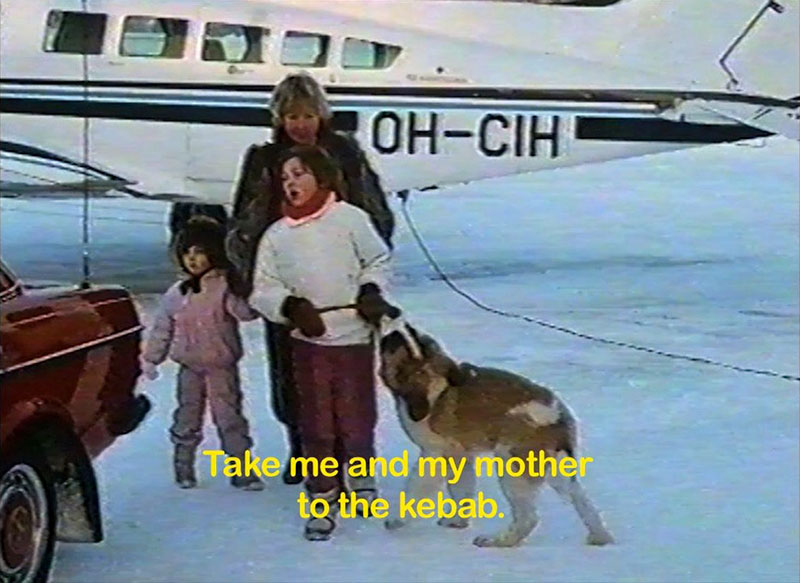 A film still depicting a nuclear family and a dog with a small plane in the background
